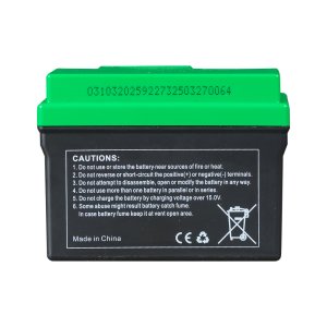 Аккумулятор FUBAG li-ion 3Ah для инверторного генератора TI 11000 A ES (арт. 646211) купить в Липецке